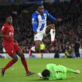 Brighton and Hove Albion striker Danny Welbeck is fit and pushing to start at Leicester