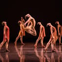 Sao Paulo Dance Company (credit Iari Davies)