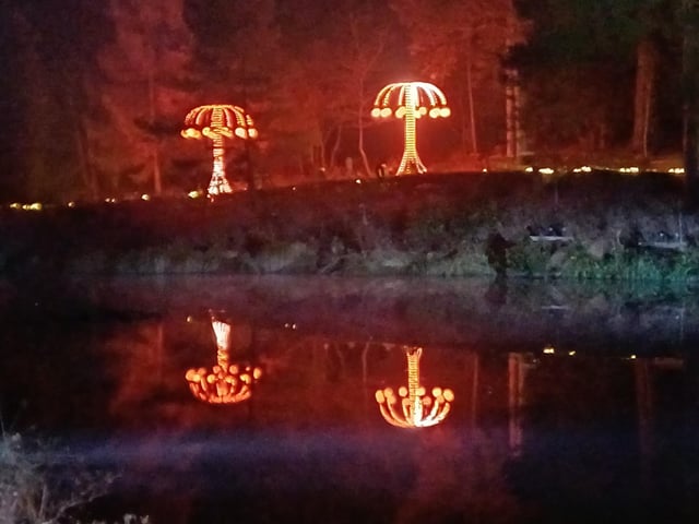 Leonardslee Illuminated is on now and runs on selected dates until December 21, 2023