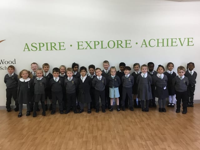 Forge Wood Primary School - Woodpeckers
