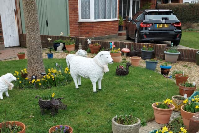 Three chia sheep were stolen from outside a Worthing bungalow in the early hours of Tuesday, October 4.