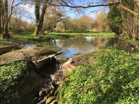 Plans for development of a West Burton pond and stream have been approved.