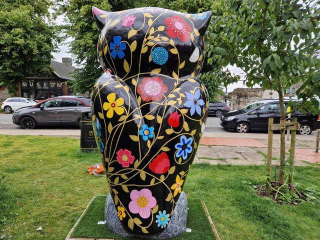 Colourful owls have flown into Arundel as part of the Wild in Art event The Big Hoot trail, raising money for Chestnut Tree House.