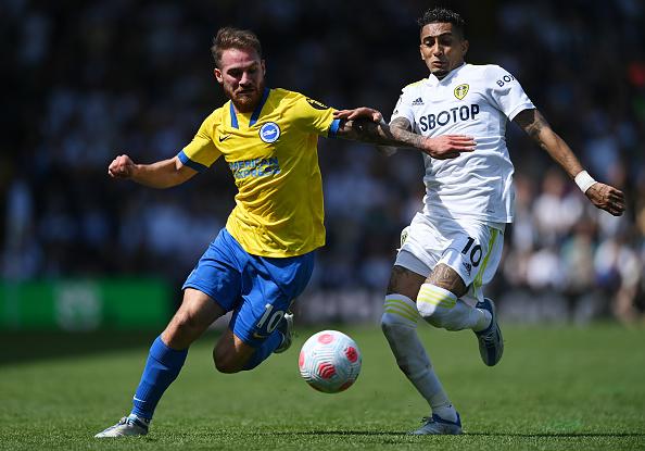 Looked every inch a high class Premier League player last season and delivered on a consistent basis. Could form a nice partnership with Moises Caicedo next season