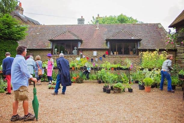 The plant stall at Amberley Open Gardens