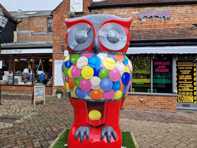 Colourful owls have flown into Arundel as part of the Wild in Art event The Big Hoot trail, raising money for Chestnut Tree House.