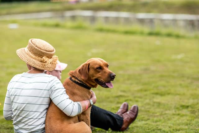 Enjoy a dog-themed day out with your four-legged friend at Goodwoof