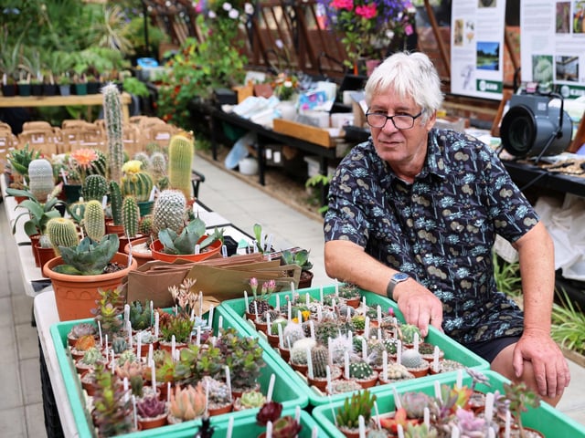 Stuart Riley with his plants for sale.