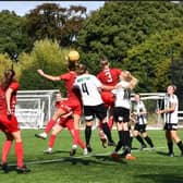 Worthing Women in action in their opener at Dartford | Picture: Onerebelsview