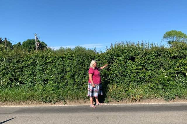 Christine Hanson and the 700-year-old hedgerow in Stone Cross
