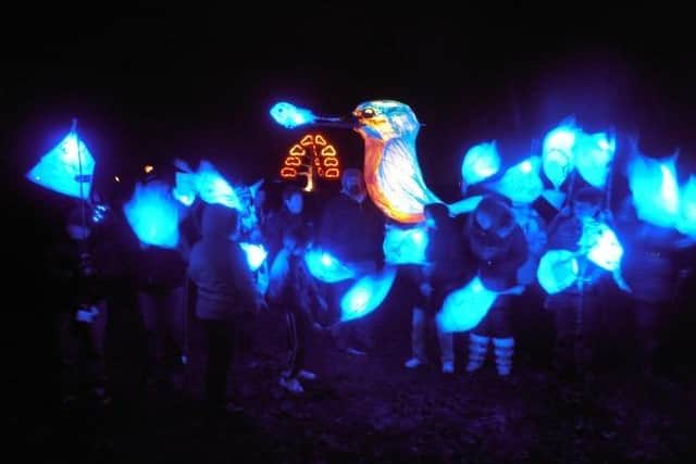 Harbour Lights: A new winter festival for Newhaven. Photo: Newhaven Enterprise Zone