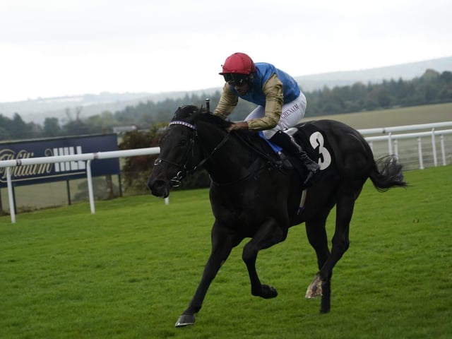 September midweek flat racing at Goodwood