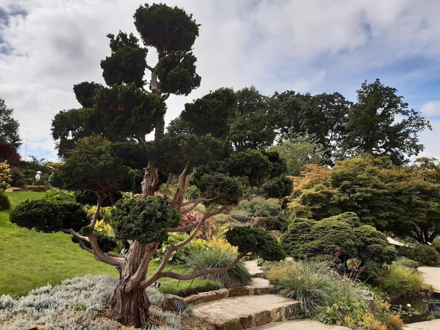 RHS Garden Wisley is a great day out, and it's only just outside of Sussex. Picture: Katherine HM