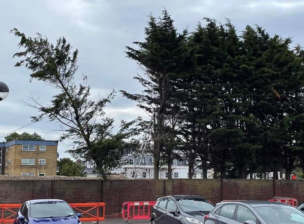 Trees being felled on the Mannings site in Shoreham