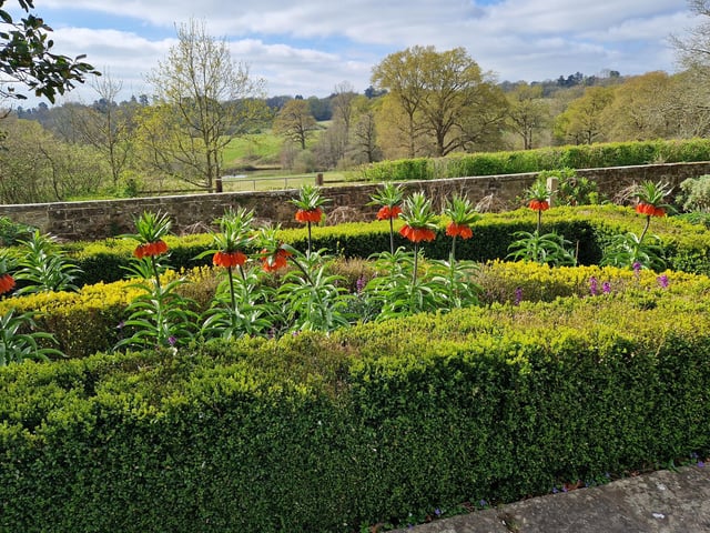 Borde Hill Garden