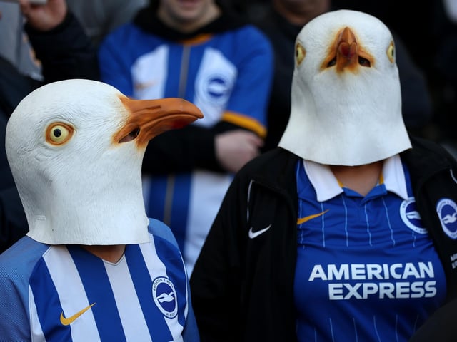 BRIGHTON, ENGLAND - NOVEMBER 13: Brighton fans wearing seagull masks during the Premier League match between Brighton & Hove Albion and Aston Villa at American Express Community Stadium on November 13, 2022 in Brighton, England. (Photo by Christopher Lee/Getty Images)