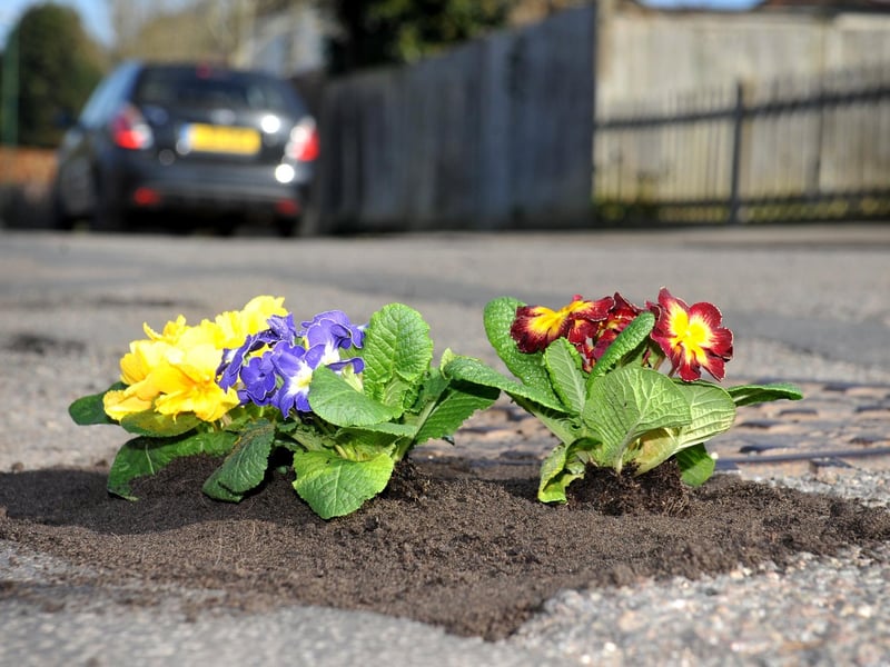 Harry's Pretty Potholes planting up potholes Orchard Road, Horsham.