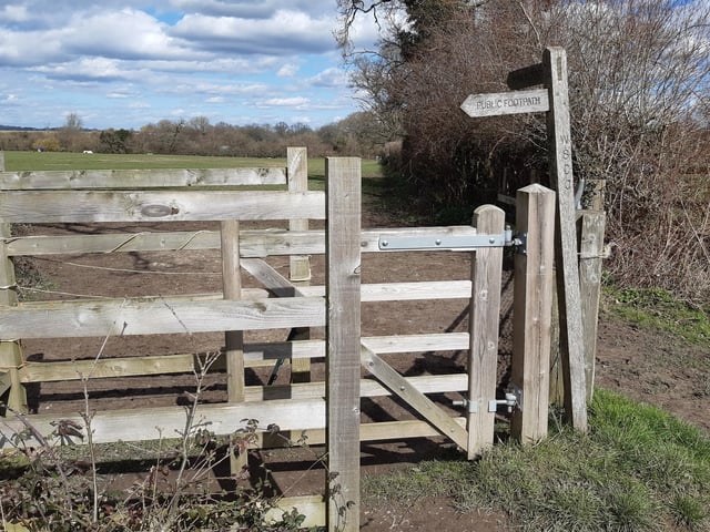You will be taken into a field of horses.