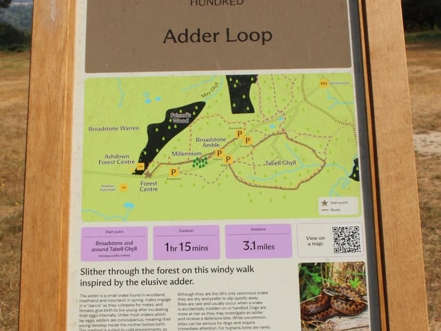 Six new walks created at Ashdown Forest