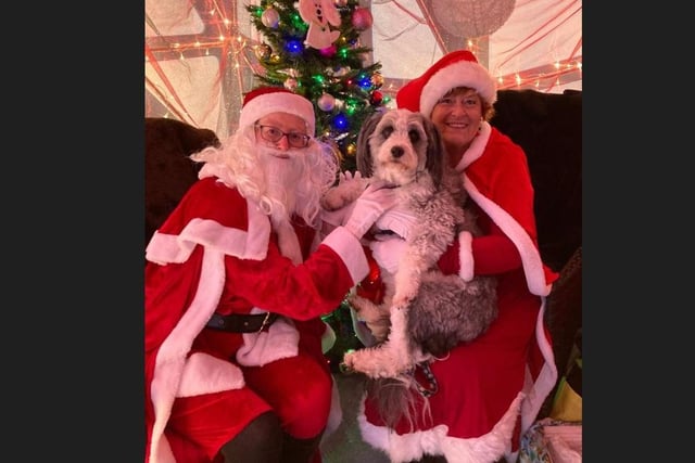 Santa Paws in Eastbourne (photo from Karey Whitmore)