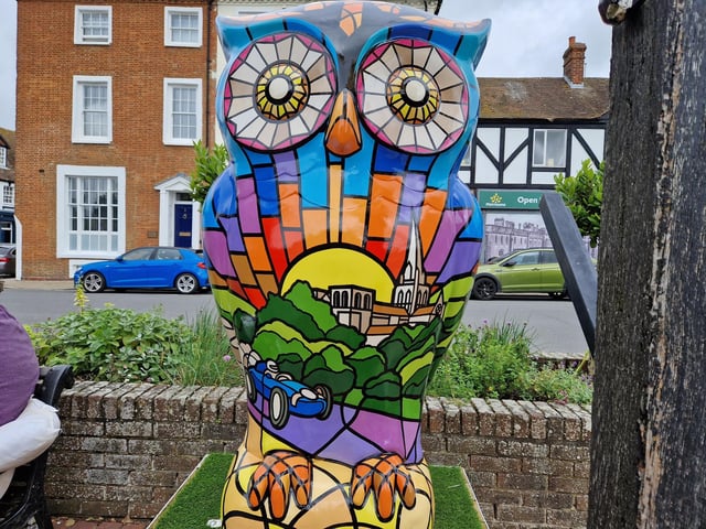 Colourful owls have flown into Arundel as part of the Wild in Art event The Big Hoot trail, raising money for Chestnut Tree House.