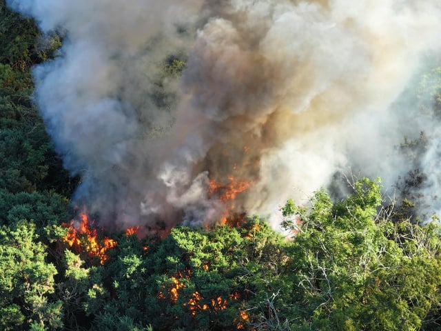 Fire crews worked ‘throughout the night’ to bring a wildfire under control at a beauty spot in Sussex.