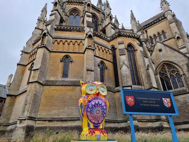 Colourful owls have flown into Arundel as part of the Wild in Art event The Big Hoot trail, raising money for Chestnut Tree House.