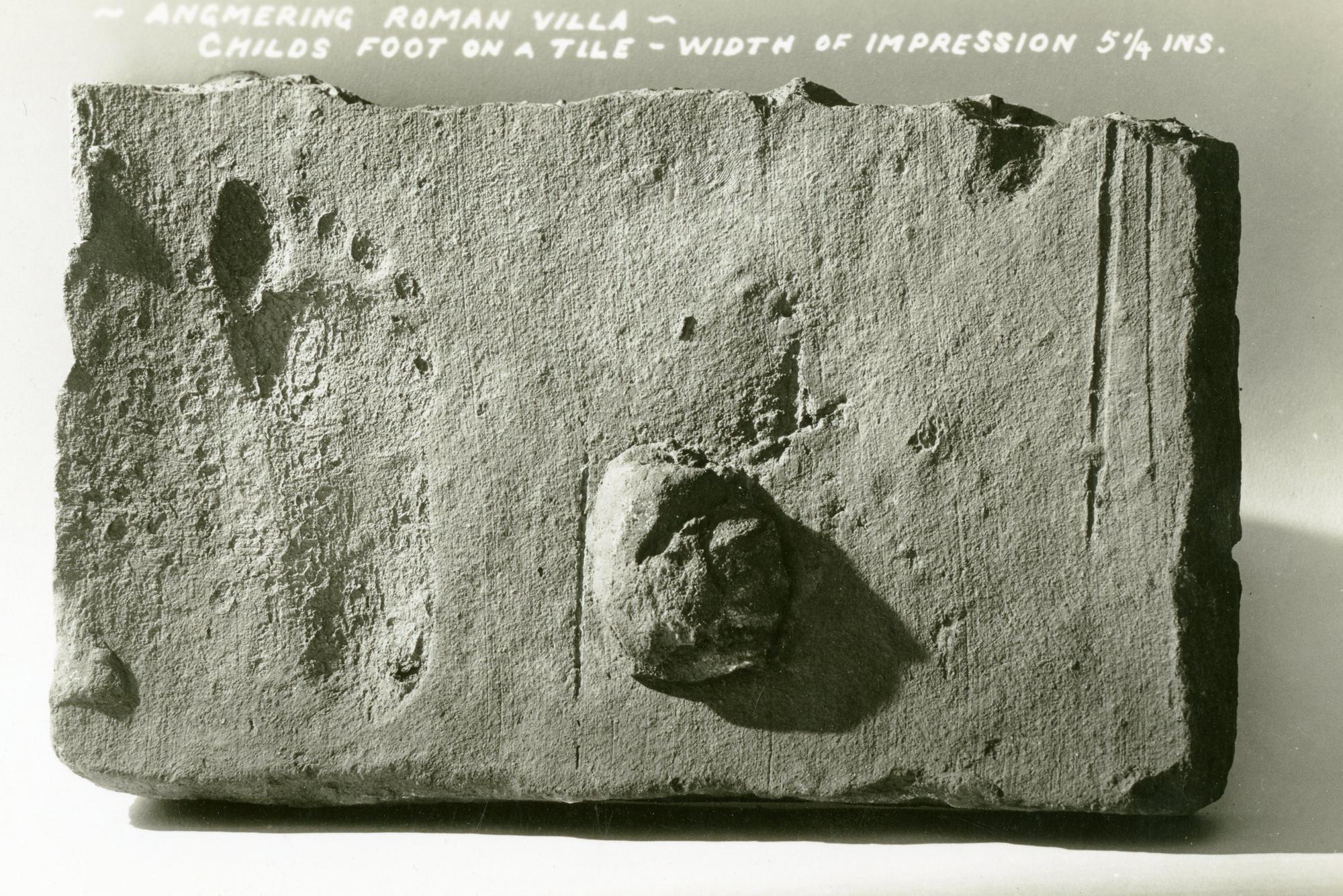 Littlehampton Museum staff scour the country for missing 'star find' from Angmering Roman villa excavations - Vimarsana News