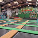 Go Wild! – the new venture from the Drusillas family – opened in Heathfield, East Sussex, at the beginning of the summer