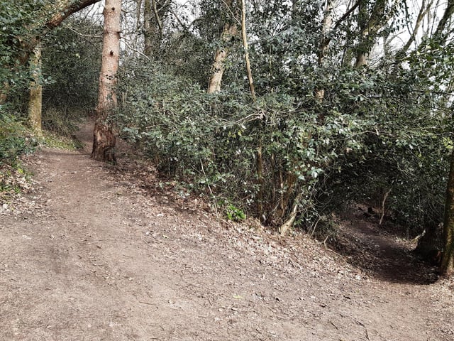 Keep heading uphill, ignoring the flatter path off to the right