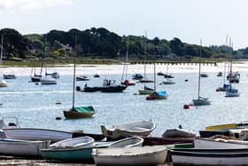 Some of the cash will go towards an accelerated construction programme for wetland(s), benefitting Chichester Harbour. Photo: Ciaran McCrickard / Southern Water