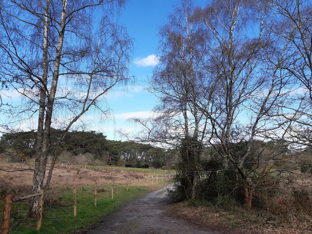 There are lovely views and you may wish to stay longer to explore more of Sullington Warren.
