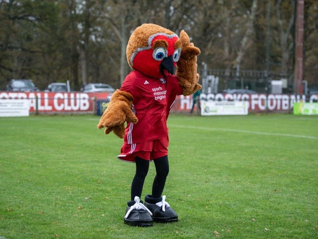 Hassocks v Ashford United, Isthmian south east division