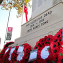 Worthing Borough Council is to debate a motion supporting people’s right to choose how they mark Remembrance. Image: Adur & Worthing Councils via the LDRS