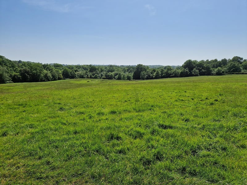 My family visited the real life location of the Battle of Hastings