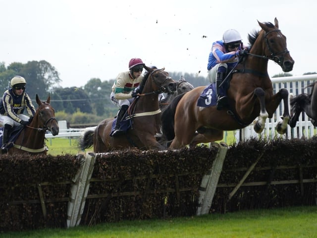 September jump racing at Fontwell Park