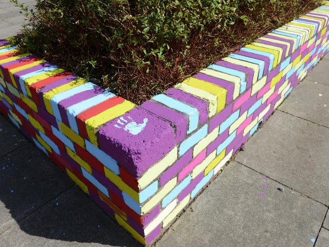 The gardening project saw aspects of Teville Gate given a colourful makeover
