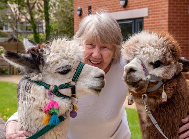 A Chichester care home was visited by a herd of fluffy four-legged friends
