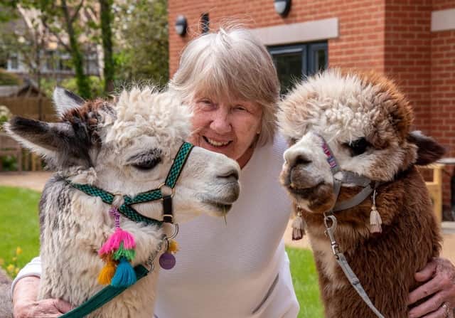 A Chichester care home was visited by a herd of fluffy four-legged friends