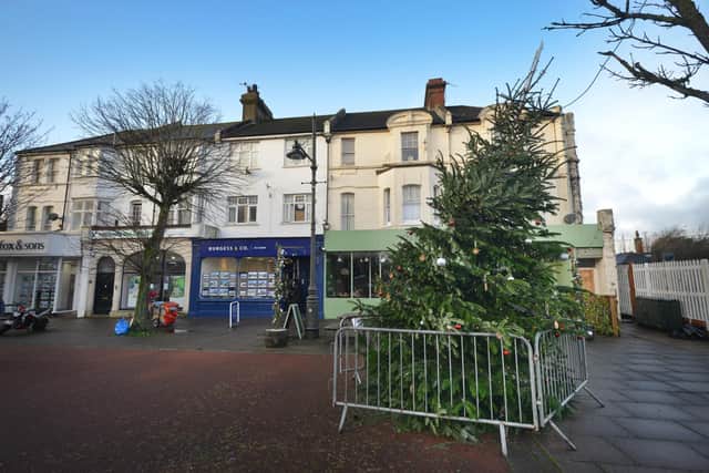 Bexhill's replacement Christmas tree for 2023 pictured on December 12 when it was slightly leaning over.