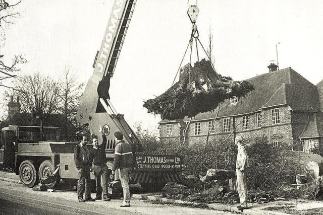 Workmen removing the roots of one of the trees that fell at Haywards Heath Hospital