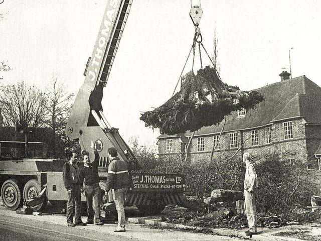 Workmen removing the roots of one of the trees that fell at Haywards Heath Hospital