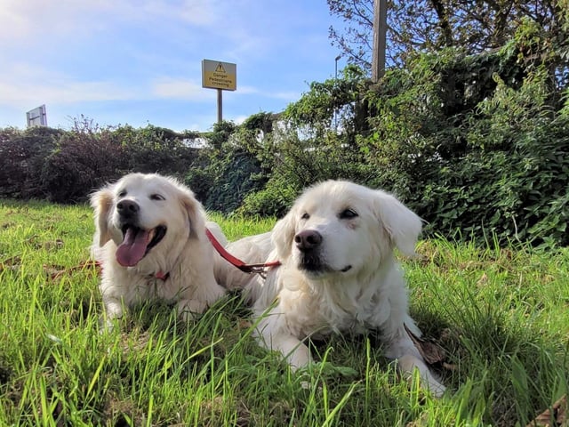 Goldie and Storm