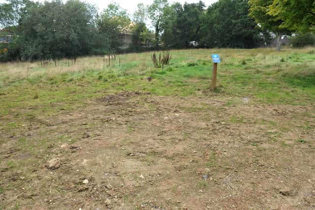 The Rewilding Blue Campaign site on Greenlands Drive, Burgess Hill. Mid Sussex Times photo by Steve Robards