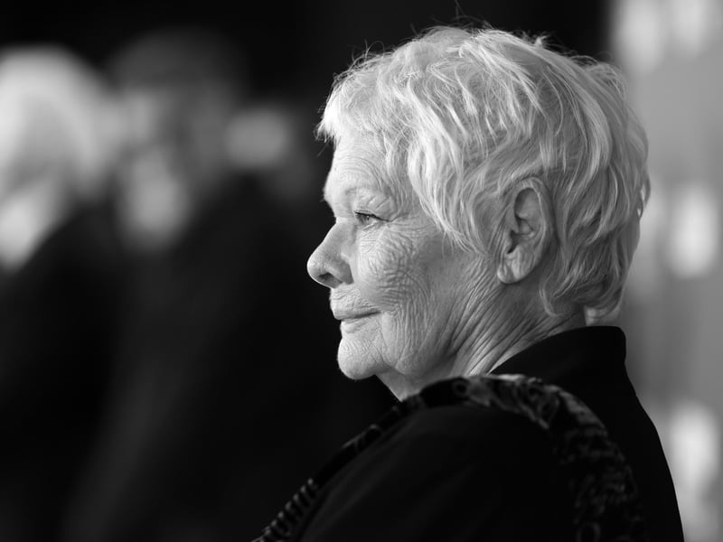 The acclaimed actress, Dame Judi Dench might be best known for her love of Shakespeare, but she also has another passion for horse racing. The Oscar-winning actress has owned several racehorses over the years, most notably Smokey Oakey, which won the 2008 Lincoln Stakes.