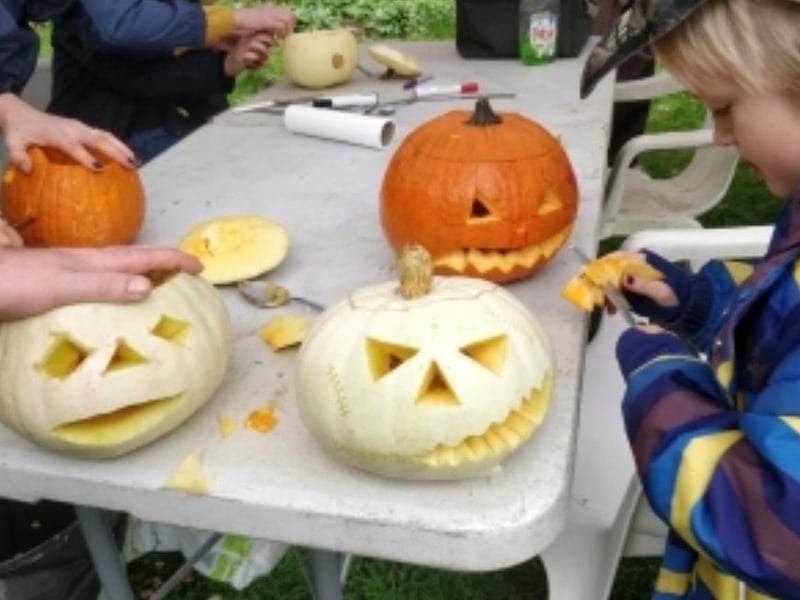 The Bohemia Walled Garden has a free Pumpkin Festival on Sunday October 22 from 11am - 3pm. There will be crafts for kids, pumpkin carving and homemade soup.
The garden is situated in Summerfields Woods, Visit the website www.bohemiawga.org.uk for precise details of location.