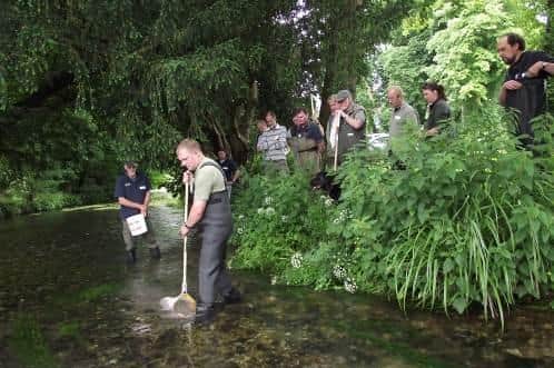The key finding is that most bodies of water are failing to meet good ecological standards