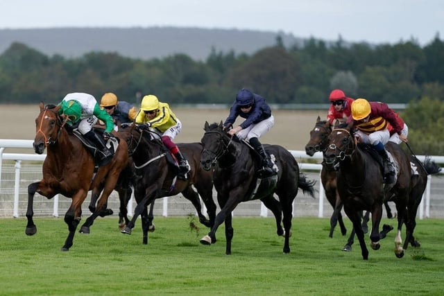 CHICHESTER, ENGLAND - AUGUST 01: Sean Levey riding Haatem (green sleeves) win The Nicholson Gin Vintage Stakes at Goodwood Racecourse on August 01, 2023 in Chichester, England. (Photo by Alan Crowhurst/Getty Images):Images from the opening day of the 2023 Qatar Goodwood Festival