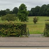 Haywards Heath Town Day will not go ahead following the death of Her Majesty Queen Elizabeth II. Picture: Google Street View