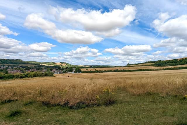 A new community orchard is set to be created at Worthing’s Cissbury Fields as part of a shared plan to nurture the space into a thriving environment for wildlife and visitors alike. Photo: UGC